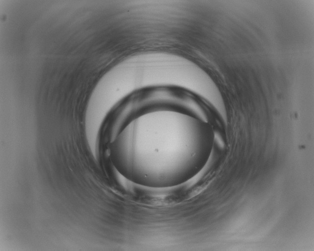 X0000075900075200609151422