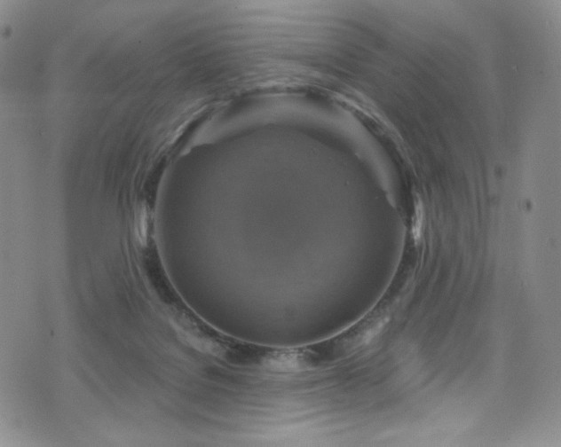 X0000075900076200609151422