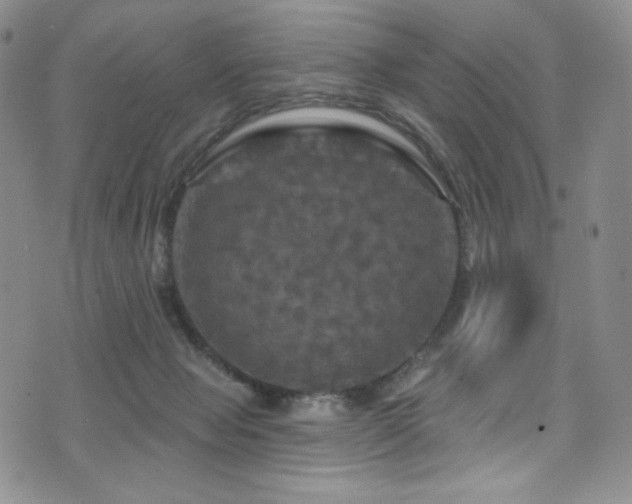 X0000075900077200609151422