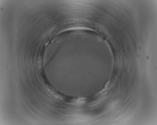 X0000075900078200609151422