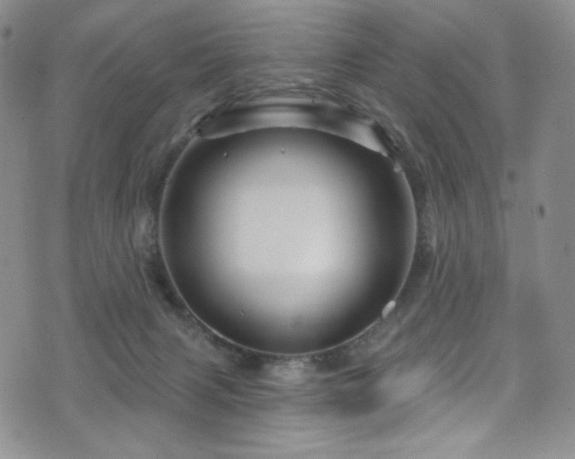 X0000075900079200609151422