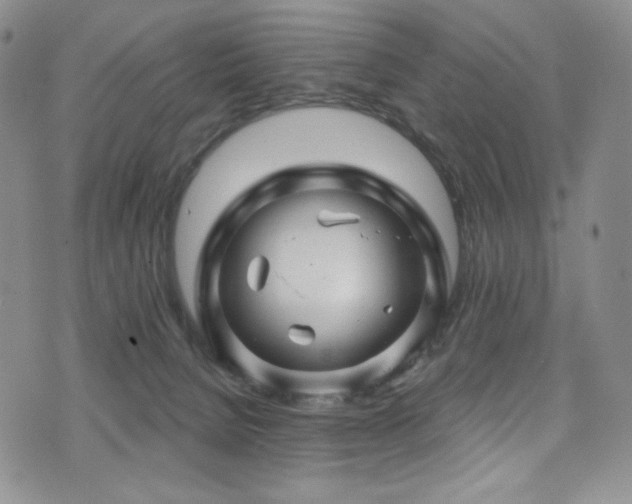 X0000075900080200609151422