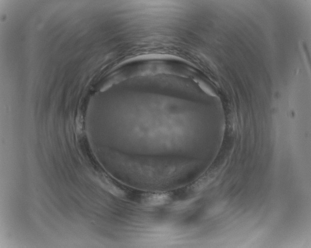 X0000075900081200609151422