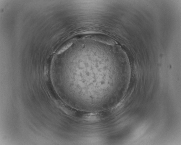 X0000075900082200609151422