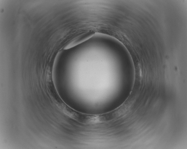 X0000075900083200609151422