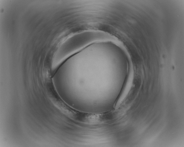 X0000075900084200609151422