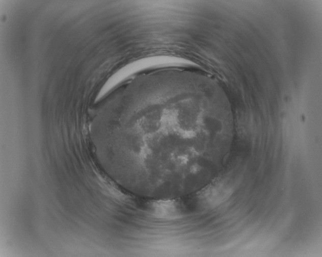 X0000075900085200609151422