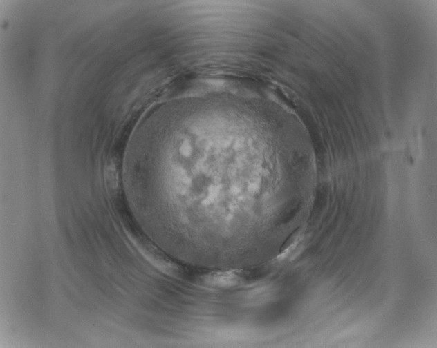 X0000075900086200609151422