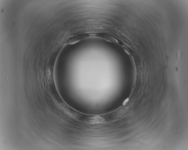 X0000075900087200609151422