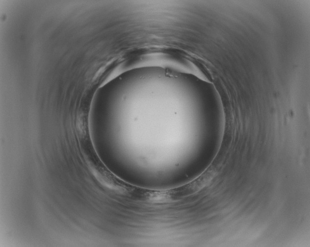 X0000075900088200609151422