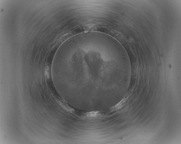 X0000075900090200609151422