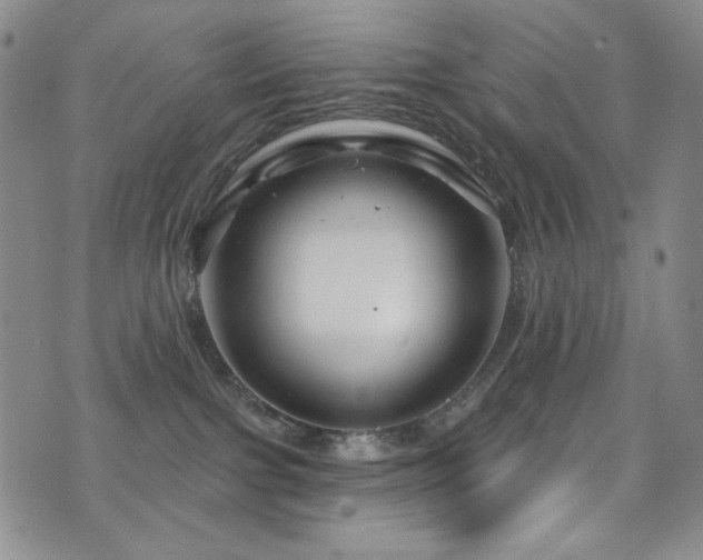 X0000075900091200609151422