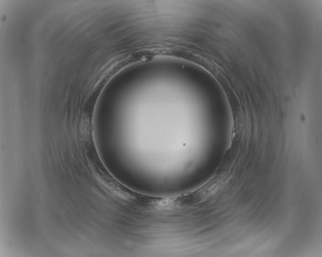 X0000075900092200609151422