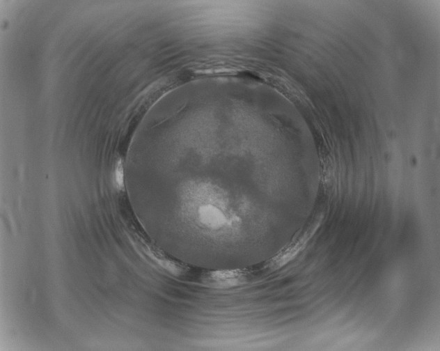 X0000075900095200609151422