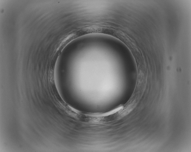 X0000075900096200609151422