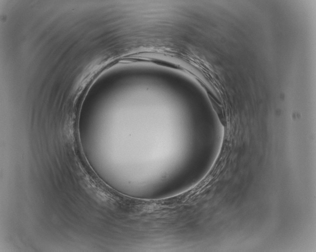 X0000075900098200609151422