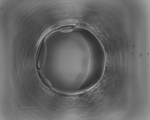 X0000075900099200609151422