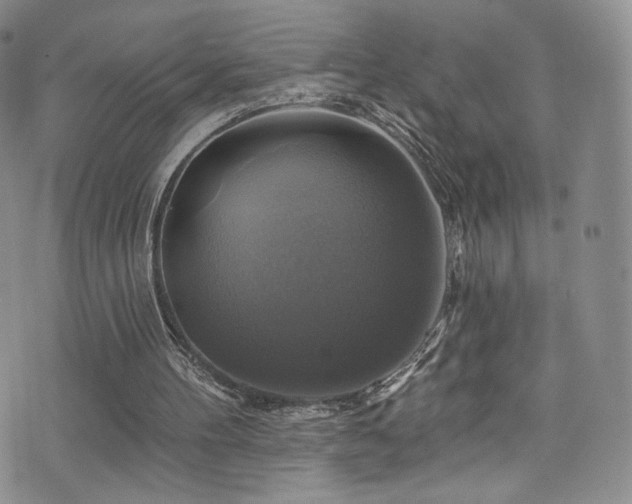 X0000075900100200609151422