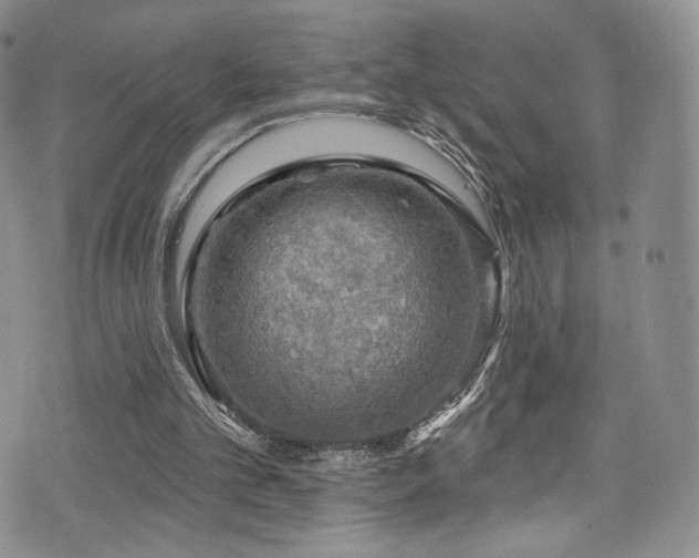 X0000075900101200609151422