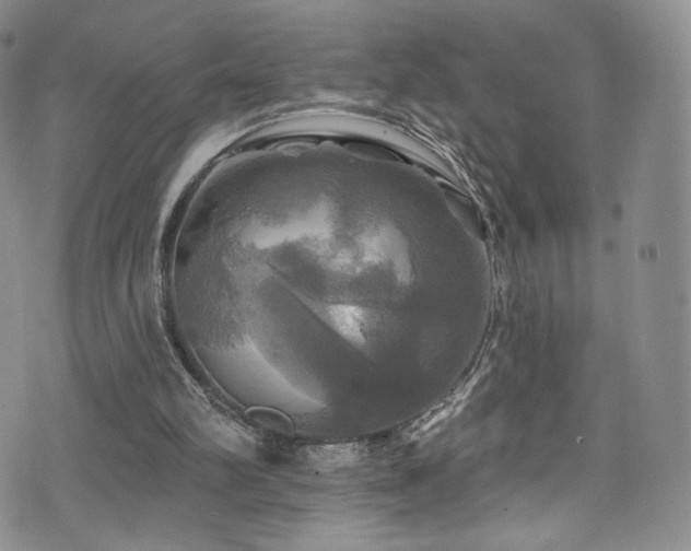 X0000075900102200609151422