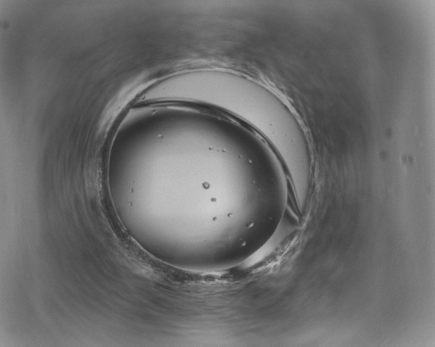 X0000075900103200609151421