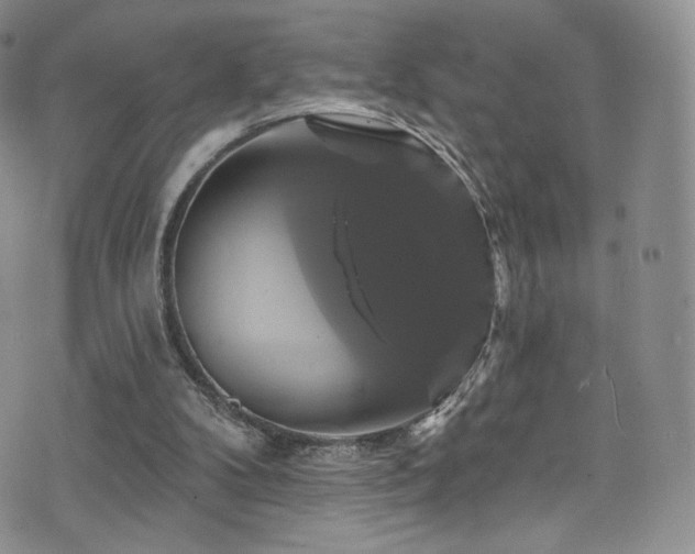 X0000075900104200609151421