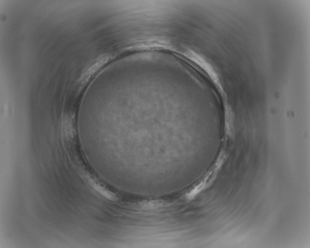 X0000075900105200609151421