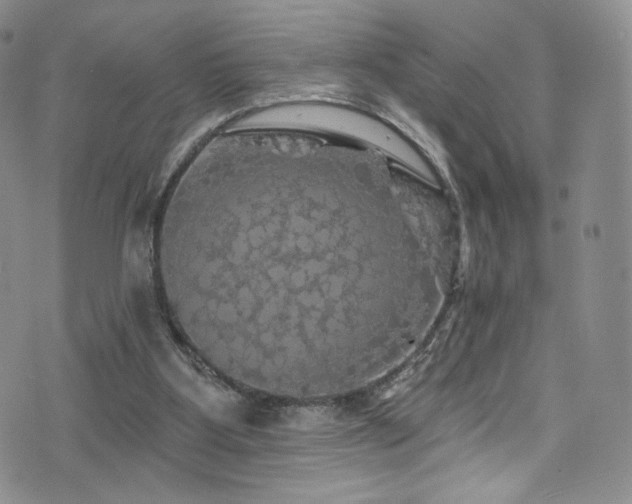 X0000075900107200609151421