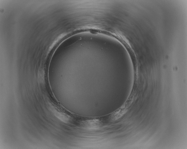 X0000075900108200609151421