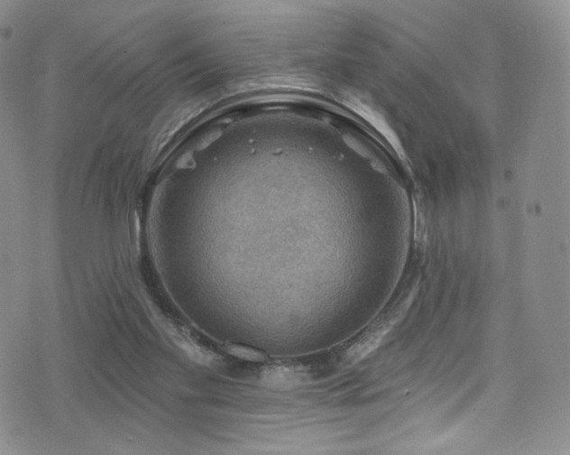 X0000075900109200609151421