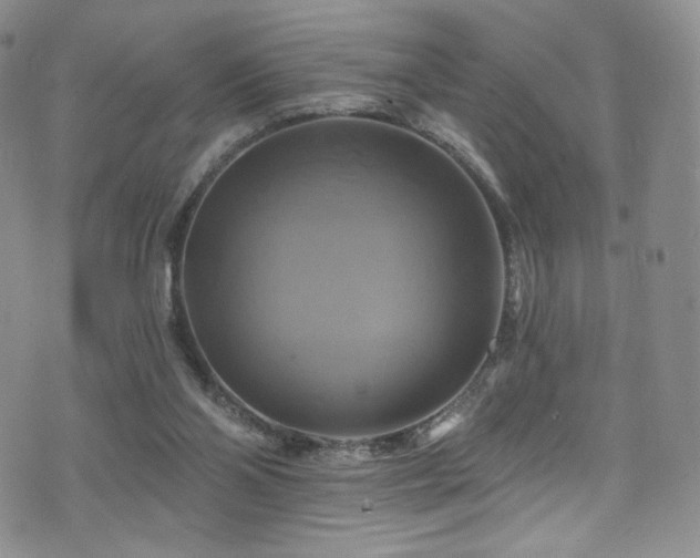 X0000075900110200609151421