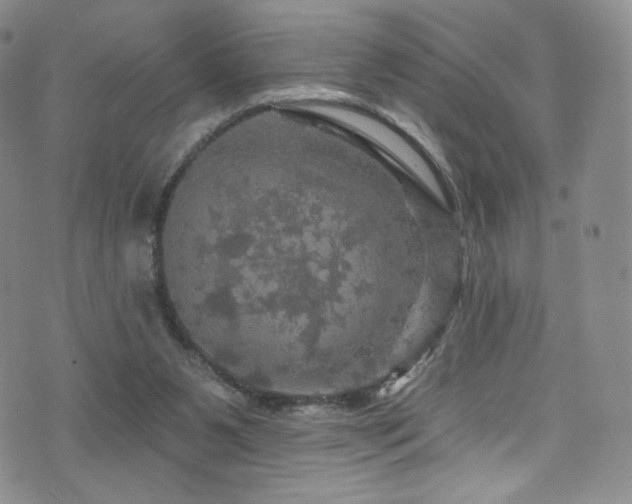 X0000075900111200609151421