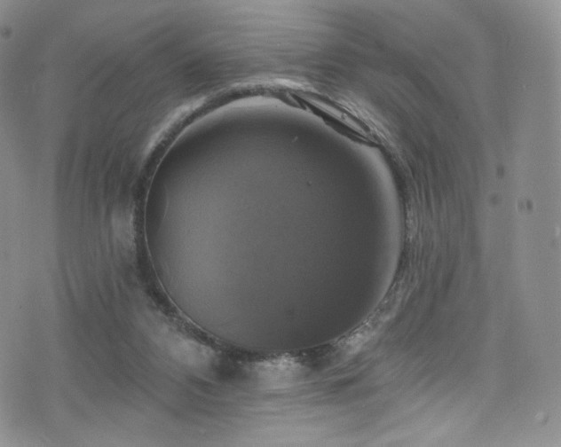 X0000075900112200609151421