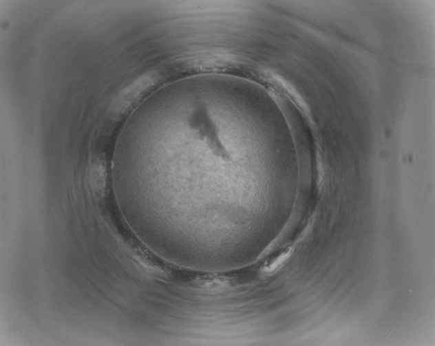 X0000075900113200609151421