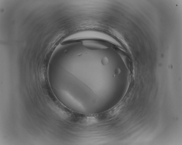 X0000075900114200609151421