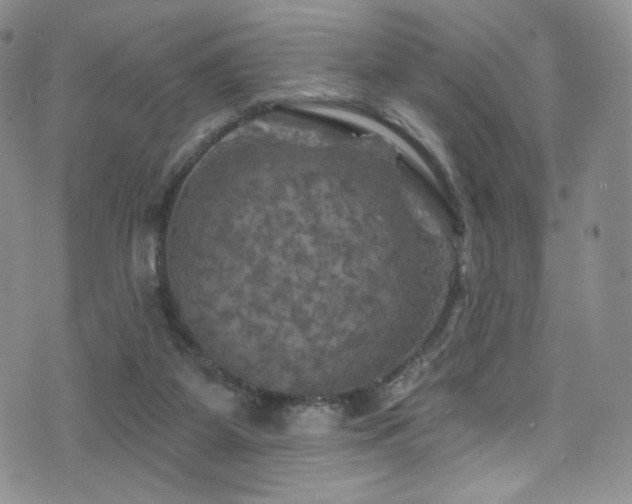 X0000075900115200609151421