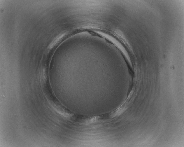 X0000075900116200609151421