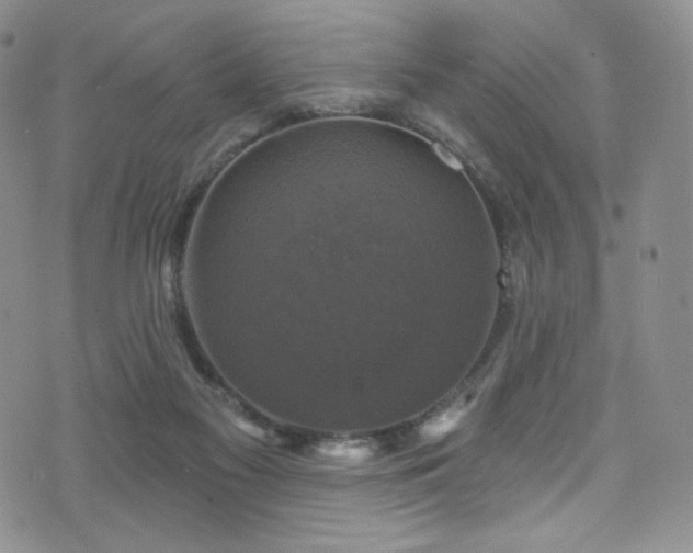 X0000075900117200609151421