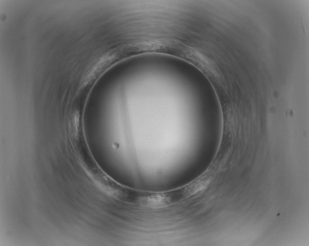 X0000075900118200609151421