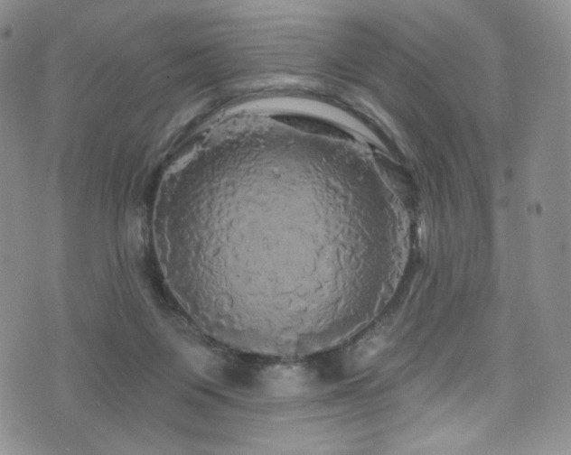 X0000075900119200609151421