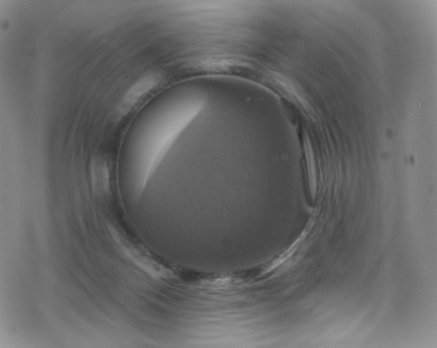 X0000075900120200609151421