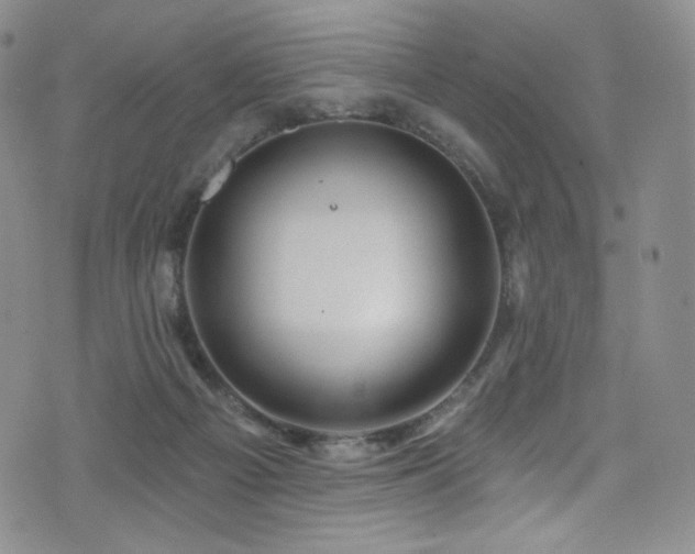 X0000075900121200609151421