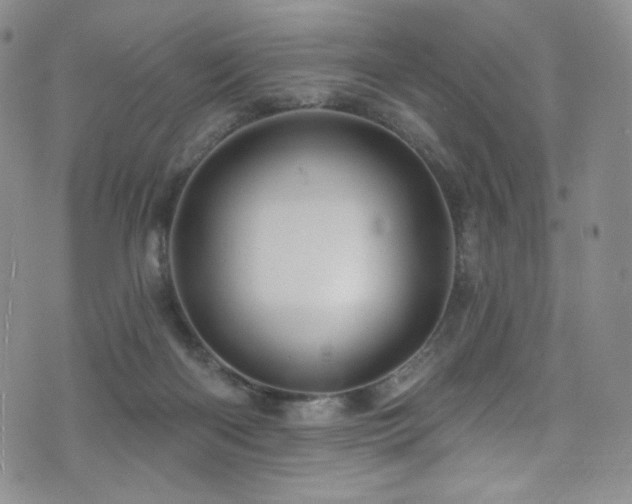 X0000075900122200609151421