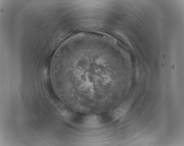 X0000075900123200609151421