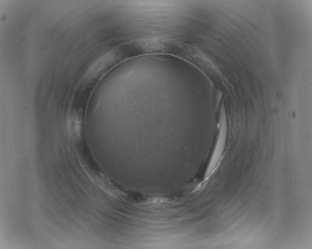 X0000075900124200609151421