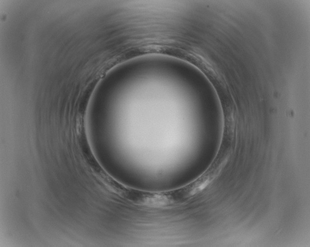 X0000075900125200609151421