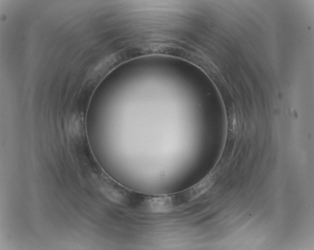 X0000075900126200609151421