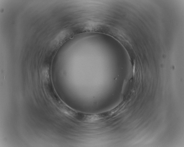 X0000075900127200609151421