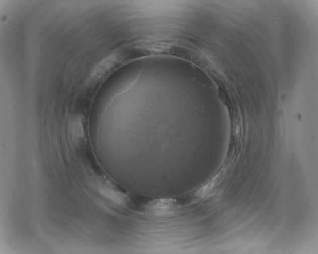 X0000075900128200609151421