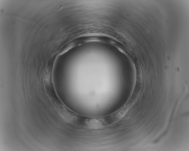 X0000075900129200609151421